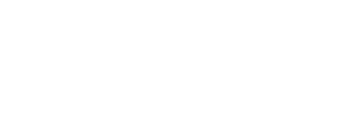 Logo tecwave3